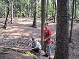 Obrázek v galerii