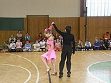 Obrázek v galerii