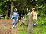 Obrázek v galerii