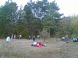 Obrázek v galerii