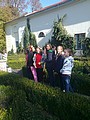 Obrázek v galerii