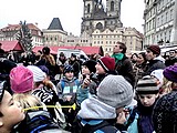 Obrázek v galerii