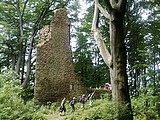 Obrázek v galerii