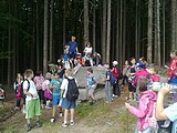Obrázek v galerii