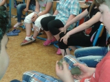 Obrázek v galerii
