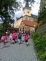 Obrázek v galerii