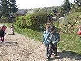 Obrázek v galerii