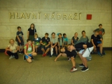 Obrázek v galerii