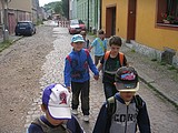 Obrázek v galerii