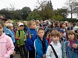 Obrázek v galerii