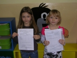 Obrázek v galerii