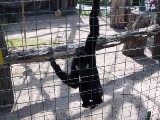 Školní výlet - ZOO Chleby