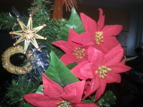 Advent v 5.B
