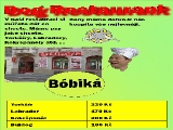 Obrázek v galerii
